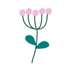 branch with flowers pink