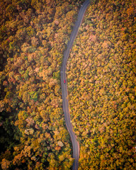 Campos do Jordão estrada