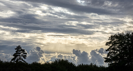dark ground with silhouettes of trees and bush under evening dramatic sky. summer panoramic landscape.