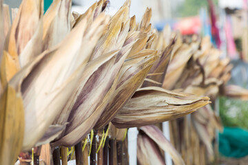Corn on stalk in field,selective focus.