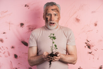 Amazed, senior man, gardener holding a plant for planting on a background of dirty, pink walls. A smiling farmer is engaged in gardening.