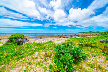 Fototapeta na wymiar 石垣島の海