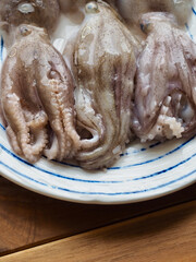 신선한 자연 해산물 쭈꾸미, 음식재료 
