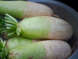 신선한 유기농 뿌리채소 무 
