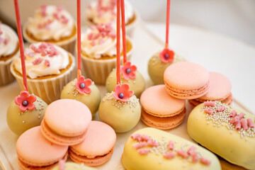 confectionery. pink and yellow sweet treats for holiday, children's birthday and wedding. marshmallows, cupcakes, cake pops, macaroons and cakes on a stick. candy bar