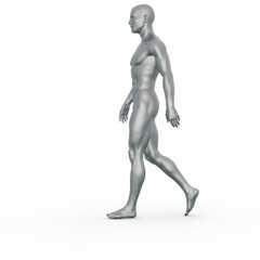 3D Render : Silver male model character is walking on the white background