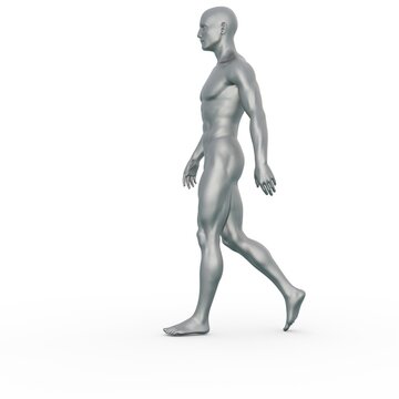 3D Render : Silver male model character is walking on the white background