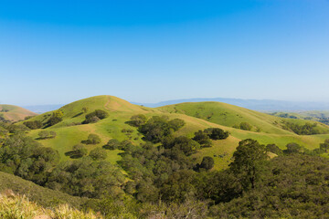 Fototapeta premium Hills in the Mount Diablo park in the northern California