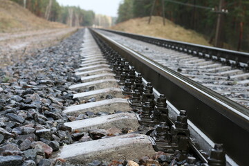 railroad tracks in the forest