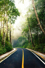 Obraz premium Country Road on the Mountain through the woods