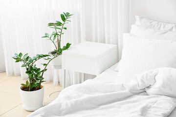 Modern bedside table and houseplant in interior of bedroom