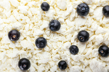Cottage cheese with blueberries as background, closeup