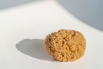 Natural sea sponge on a white background