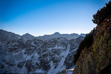 Big rock with moss and small pine trees and a hiking trail to Zawrat pass, High Tatra Mountains, Poland. Selective focus on the ridges, blurred background.