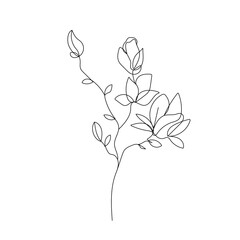 Magnolia Flowers Vector Hand Drawn Line Art Drawing. Minimalist Trendy Contemporary Floral Design Perfect for Wall Art, Prints, Social Media, Posters, Invitations, Branding Design.