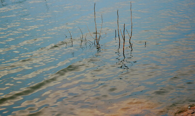 Waves and reflection in the water