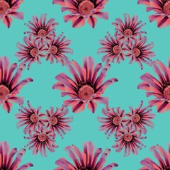 Seamless floral pattern with pink flowers on a turquoise background 