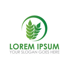 agriculture vector , farm logo vector