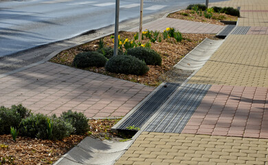 along the sidewalk with a concrete gutter of water grow in the flowerbed of yellow flowers. Mulch...