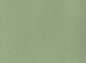 Clean green cardboard paper background texture