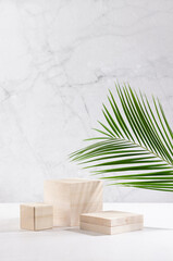 Wooden beige podiums with green palm leaf in soft light white interior with marble wall for display and presentation produce, cosmetics, vertical.