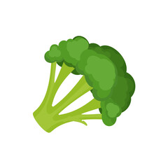 Fresh broccoli icon. Fresh broccoli vector icon for web design