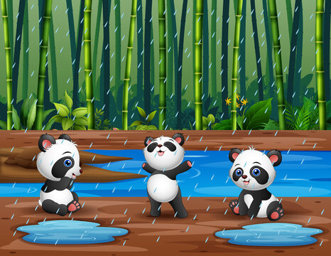 Cartoon three of pandas playing under the rain