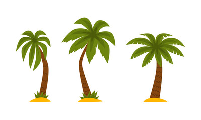 Palm Tree as Tropical Plant with Trunk Rested on Sand Vector Set