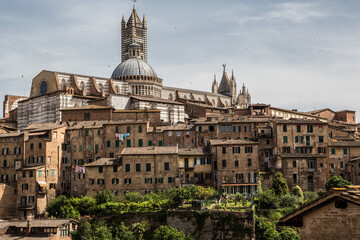 Obraz premium View of the cathedral of Siena in Tuscany with the houses of the medieval town in the foreground and behind the blue sky with some white clouds 