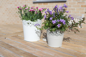 Image of flowers pots on the wooden table in the terrace for home decoration in spring and summer season.