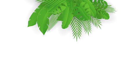 Fototapeta na wymiar Exotic green jungle tropical palm leaves. Summer floral design with green color background on white background. Green tropical leaves on black background. Vector illustration.
