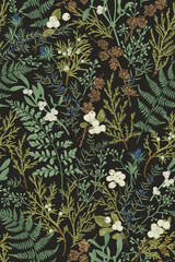 Botanical seamless pattern. Vintage. - 428105513