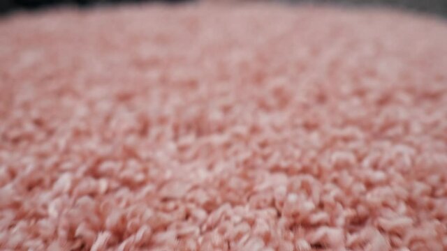 Close-up of pink carpet camera movement.