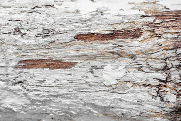 old wood texture