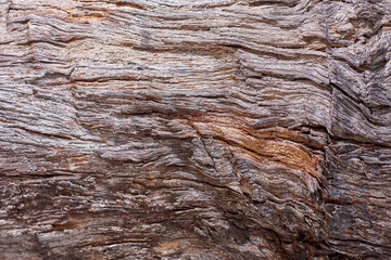 old red wood texture