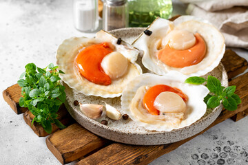 Raw scallop in the shell in a plate on the light table. Fresh shellfish close-up	
