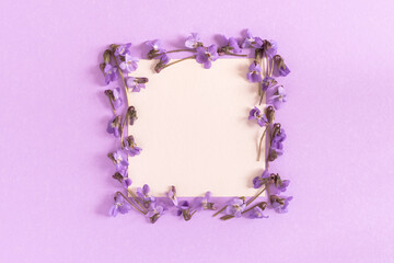 Naklejka na ściany i meble Mother's Day. A greeting card with purple spring flowers. Top view of small violets and leaves. Beautiful spring design, flower frame, creative composition. Women's Day, March 8. Flat lay, copy space