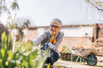 Portrait of a smiling retired woman gardening in her backyard.