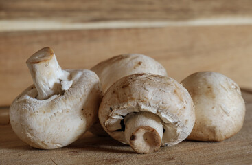 Pilze: Vier weiße Champignons (Zuchtchampignon - Lat.: Agaricus bisporus) auf einem hölzernen Brettchen / Holz als Zutat für Speisen und Salate