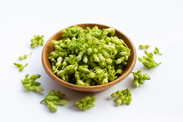 Fresh cowslip creeper on white background