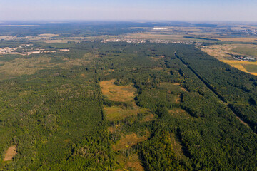 Local deforestation, aerial deforestation areas, Ukrainian forests and their destruction.