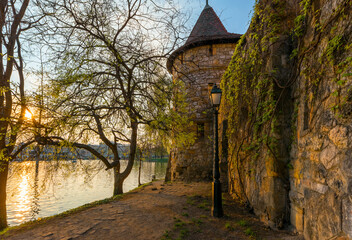 Fototapeta premium Walking in the park of Vajdahunyad Castle