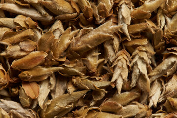 Germinate green tea as a background.