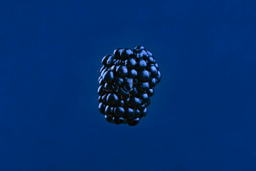 Blackberry floating on a bluish background and shot close up, macro photography