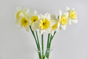 Fototapeta na wymiar Daffodils. White and yellow narcissus bouquet. Countryside nature.