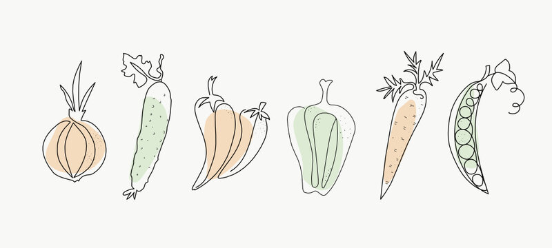 Line art vegetables. One line drawings. Vector graphics. Isolated background.