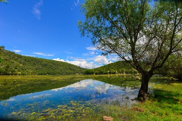 Fototapeta na wymiar Vue du lac de Sainte Suzanne (dit lac de Carces) avec les reflets des montagne dans l'eau et les plantes aquatiques au premier plan sou un cliel bleu azur parsemé de nuages blancs
