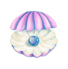 Sea shell with a pearl isolated on white backgrond. Hand drawn illustration.
