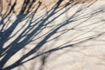 木のシルエット