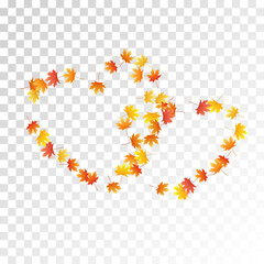 Maple leaves vector illustration, autumn foliage on transparent background.